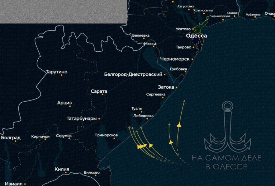 ������������ ������ 01 ������� 2025 ���� � ������ � ������� �����������: