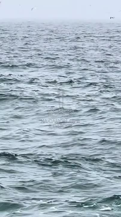 Одесса-мама, мирных снов. А вы тоже, читая аннотацию к лекарству, ищете пункт о совместимости с алкоголем? Погода за окном на 01.12.2025 Одесская область: