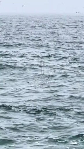 Одесса-мама, мирных снов. А вы тоже, читая аннотацию к лекарству, ищете пункт о совместимости с алкоголем? Погода за окном на 01.12.2025 Одесская область: