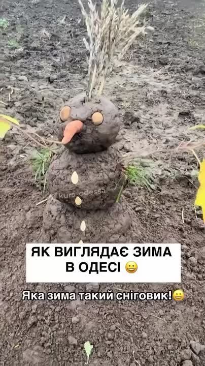 ��������� ������ �� �������� �� ������ ����������