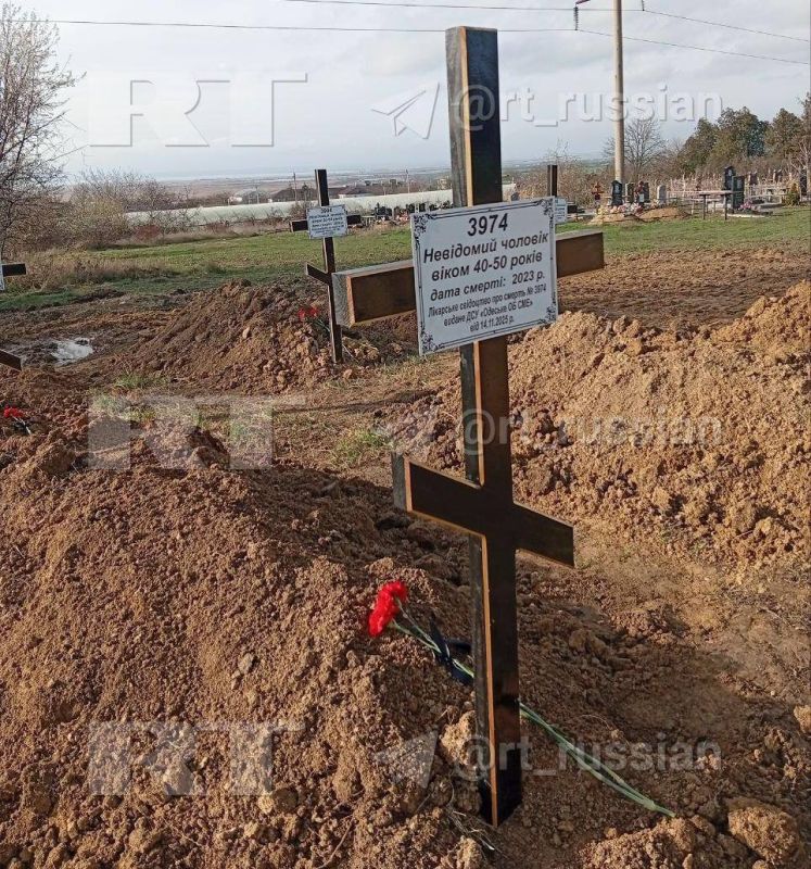 ��� ��������, ��� � �� ���� ��������: ��� ������� ����������� � �������� �������