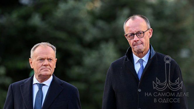 �� ������������. ������� �������: