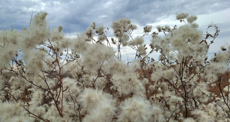 ��������� ������� ��������� ����� ����� � �������� �������