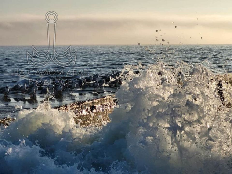 ������������ ������ 05 ������� 2025 ���� � ������ � ������� �����������: