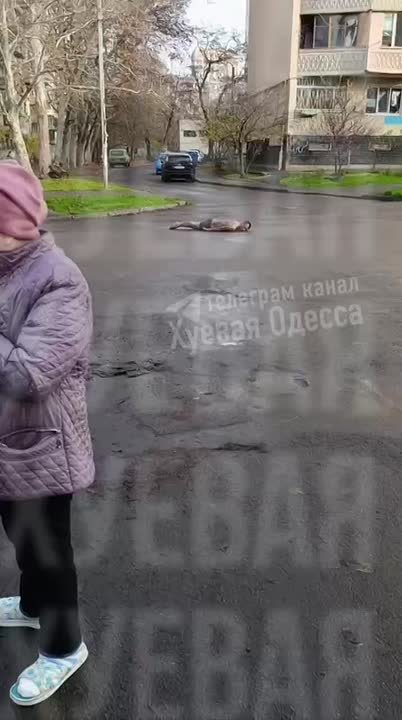 К мужику в труселях на улице в Одессе внезапно пришла белка