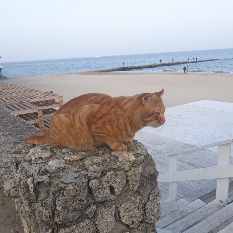 ������ ����, ������!. �����������: ����������� ����������� �������� +3 ��������, � ������� ��� ������ ���������� �� +4. ��������� ����� � ��������� �� -1 �� -4. �����: �� ��������� ����������, ����� ����� ��������� ��������...