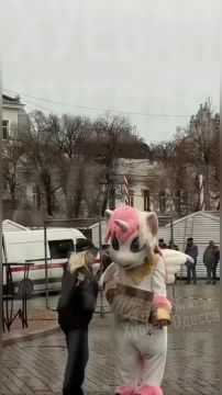 В Одессе на Греческой задержали пони