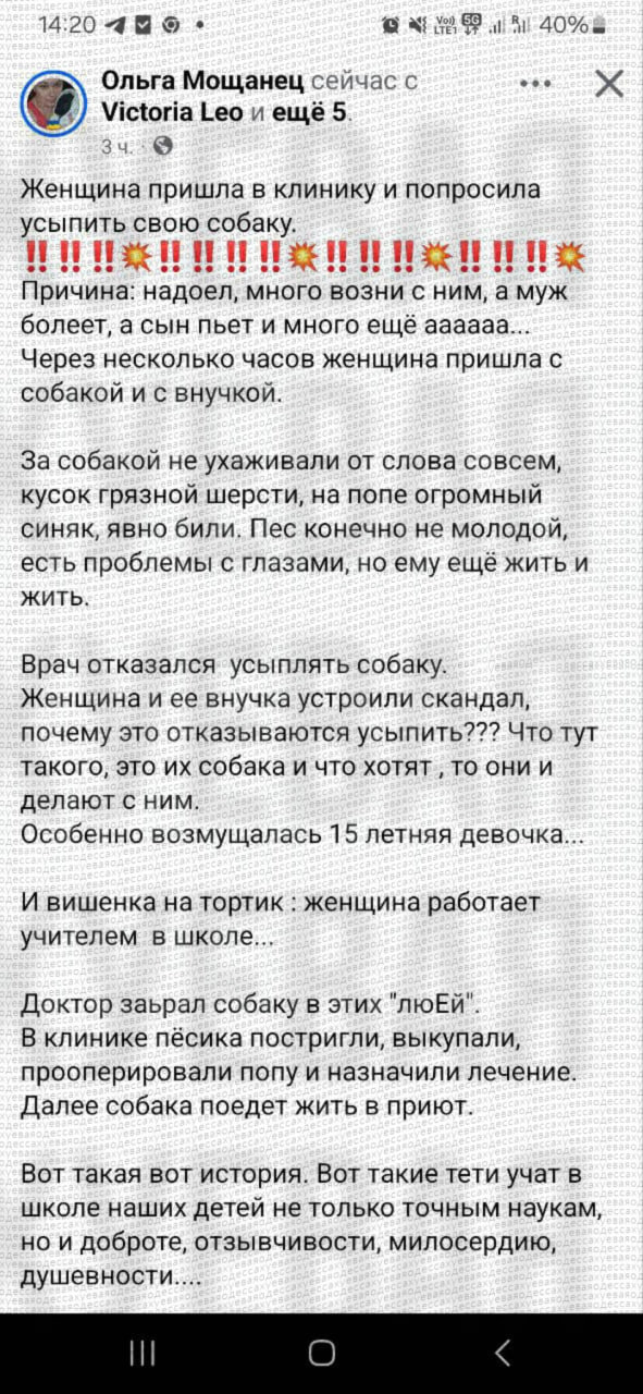 В Одессе учительница потребовала усыпить собаку просто потому, что та ей надоела
