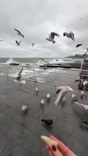 Таки да, Одесса-мама проснулась