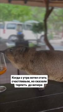 Спокойной ночи, Одесса!. Вот теперь можно и расслабиться