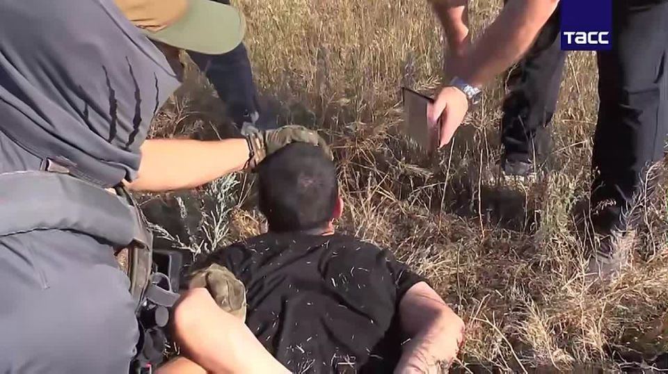 ��� ������� ����� �� ����� � ���������, �������������� � ������ ����� 53 000 ���������