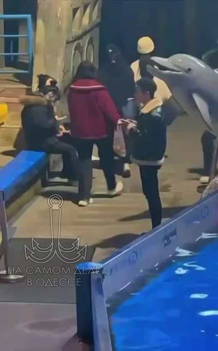 ��� �������!!!. � ����������� � ������, �����, ����� ����������� ���������� ����� ���������� ����� � ���� �������� � ���������