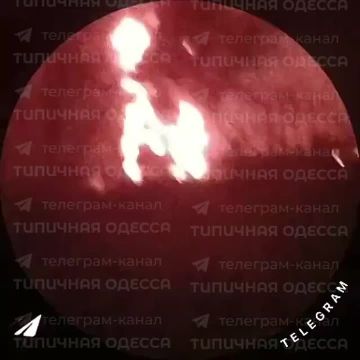     7                    ( )