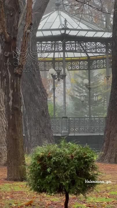 ���� ��, ������-���� ����������