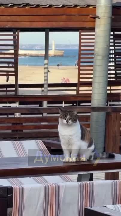 � ������ ����� �������, ��� ����� ��������� �������