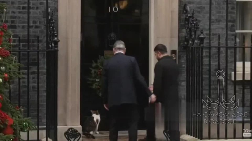 ���� � �������� ����� �����������