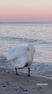 Доброе утро, Одесса!. Сегодня четверг, 11 декабря, пасмурно