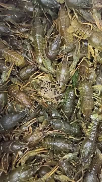 ������� � ������ ���� �� 600