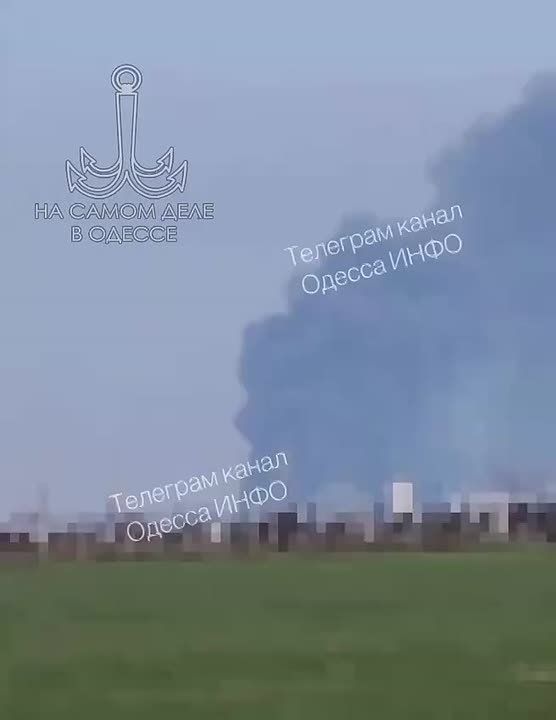 ����� �������� ����� ������ ���� �������� �����