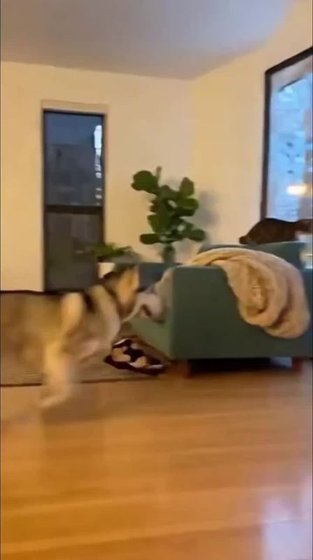 ��������� ����, ������� ������!