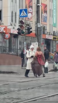 В Одессе обезьянка показывает жопу водителям и пристаёт к прохожим