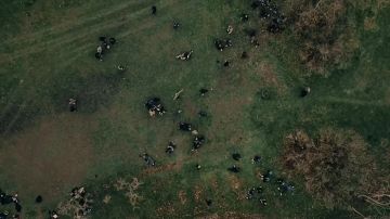 В Одессе устроили кровавое побоище и факельное шествие