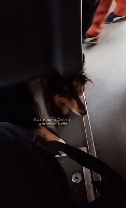 � ������ �������� ������ ��������� ��������� �����������