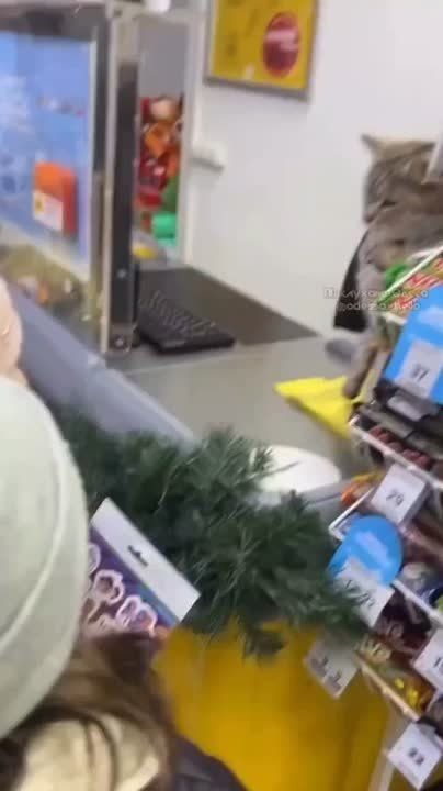 � ������������� ������ ����� ����� �������