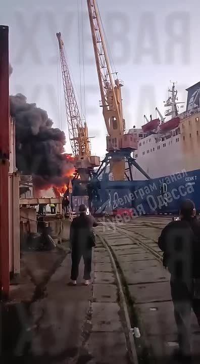 ���� ��������: �������� ����.. ���������� ����������