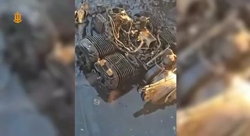 ������� �� ��������� �� ����� ����� �������� ������� ����� Viva, ������� ����� ������������ ����� � ������ � ������� ����������� �������� ��������, ��� ������� ���� ��������