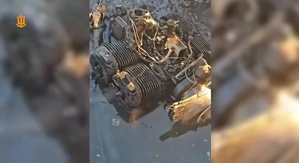 ������� �� ��������� �� ����� ����� �������� ������� ����� Viva, ������� ����� ������������ ����� � ������ � ������� ����������� �������� ��������, ��� ������� ���� ��������