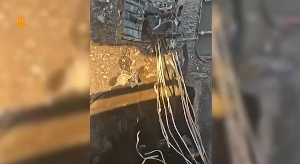 ����� �����. ��������� ������ �� ��������� � ���������� �� ���� ��������� ������ �� ����������� �����������: ����� � ������� �������� ������� �������������� ��� ������� ������ VIVA, ����� ������������� �������� ��������