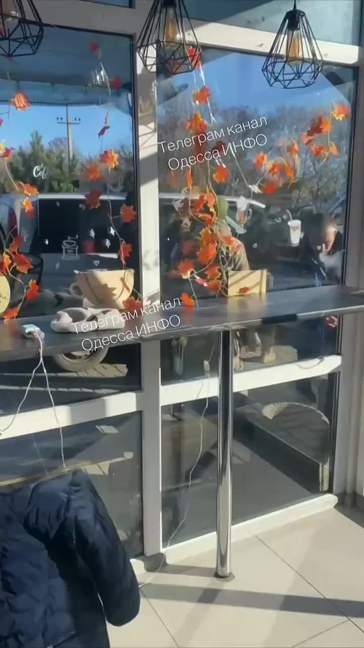 Вводим новую рубрику «Цитата дня»