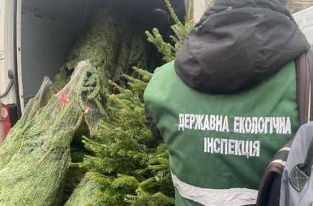 � ������ ������ �� ���������� ������� ���� ������� �� 100 ����� ������