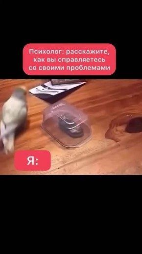 Спокойной ночи, Одесса!. Мы знаем, что в темный час сложно быть веселыми, но все же постараемся тебя поддержать