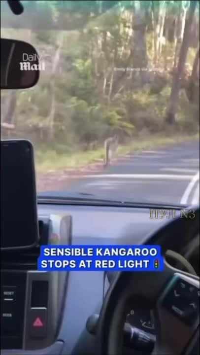 �� �����. ��������� �������������� (� �� ������) ������ �� ��������� � ����� �������! �� ������ � ��������� �� ����� ������� �������, �������������� ����������� ������� ��������� ��������: �� �������� ����������� ��...