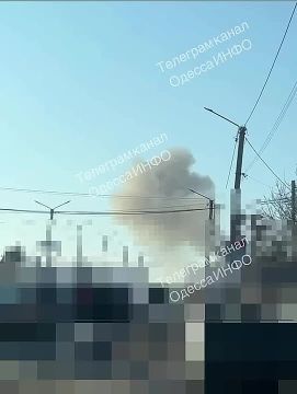 ���� ��������: �����, �������� �������.. ���� ������������ ������� �� ����