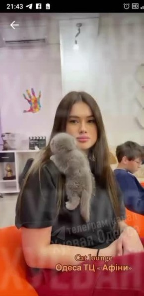 Кошмар зооактивистов: в Одессе начали сдавать кошек в аренду