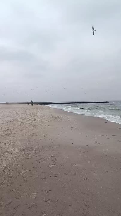 Виталий Киселев: Слава Украине!. Теперь она пахнет моющим средством и грязным бельём