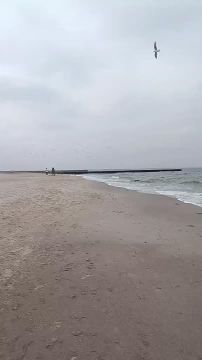 Виталий Киселев: Слава Украине!. Теперь она пахнет моющим средством и грязным бельём