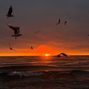 ������ ����, ������!. ������� �������, 19 �������, ��������