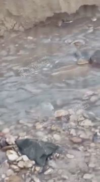 � ������ ����� �������� ����������� � ������ ����