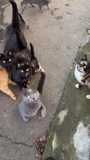 ���� ��, ������-���� ����������