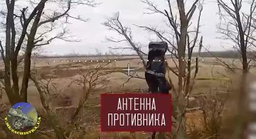 ���� ��������� ������ ���������� ������������ ����� ������ �� �������� ���������� ����� �� �������!