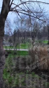 �������� ���������� �������� � �������� �����