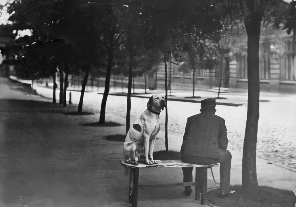 � ���� ���� ������� ������� #odessa_old