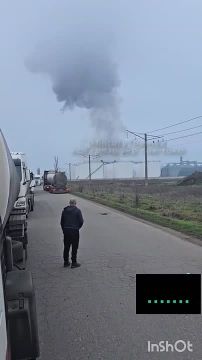 Кадры прилётов Гераней по маслоэкстракционному комплексу в н.п. Южный Одесской области