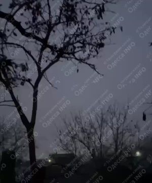 Дроны Герань-2 сейчас добивают мост в н.п. Маяки Одесской области, который наряду с мостом в Затоке соединяет юг области с основной частью и обеспечивает логистику из Румынии