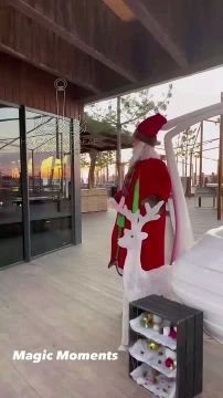 Таки да, Одесса-мама проснулась