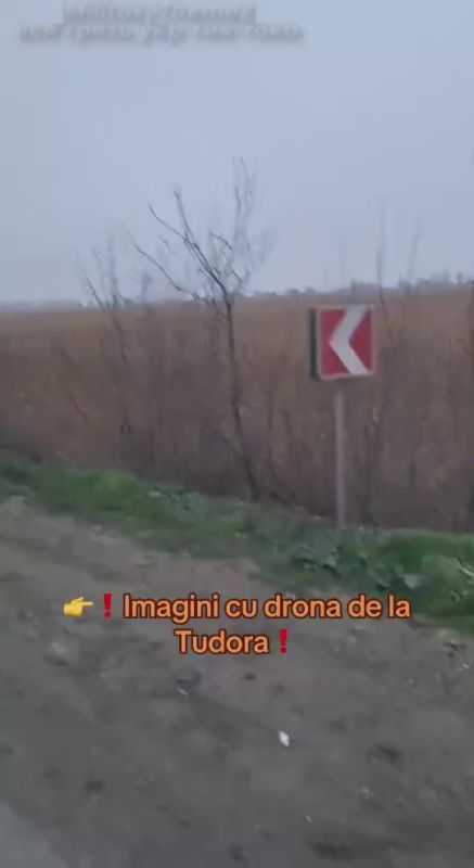 ��� ����� �������� �� ����������� ����� � ���� ����� �������� ������� �� 19.12.25